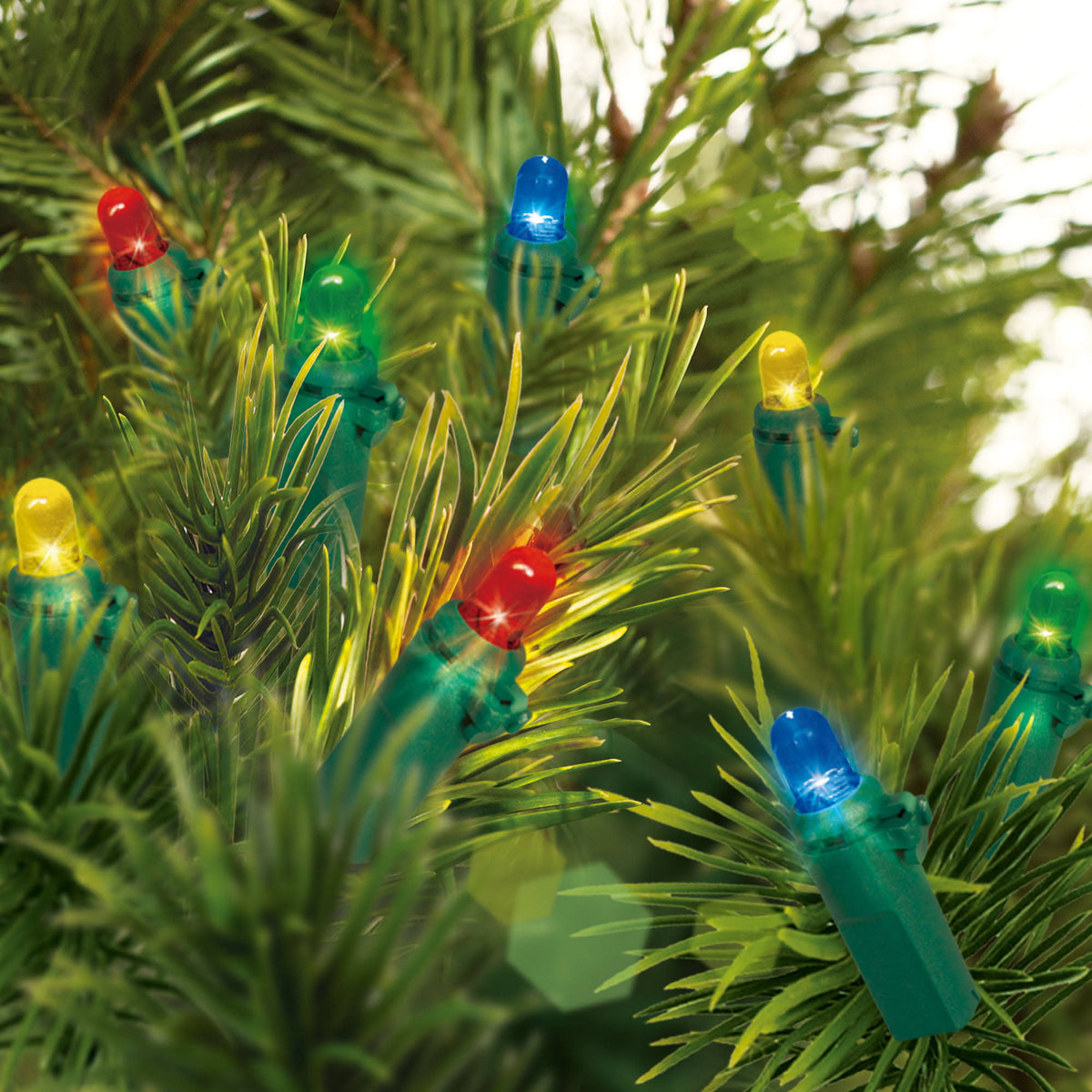 Holiday Time Battery Operated LED Mini Light Set Green Wire Multi Bulbs, 20 Count - Product image 1
