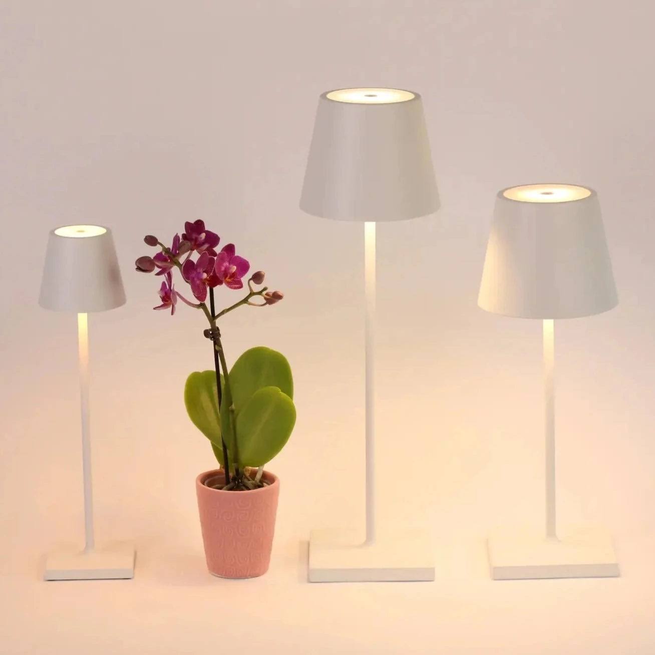 Zafferano Poldina Micro Table Lamp LD0490G3 Sage - Product image 1